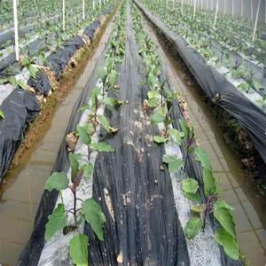 5m 2-Rows  Agriculture Black Film Vegetable Planting Plastic Mulching Film Plants Pest  Control Keep Warm Grow Film- Black 0.008mm