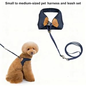 1.2M Leash For Small And Medium-Sized Pets + Harness, Pet Leash, Outdoor Pet Supplies For Cats And Dogs.