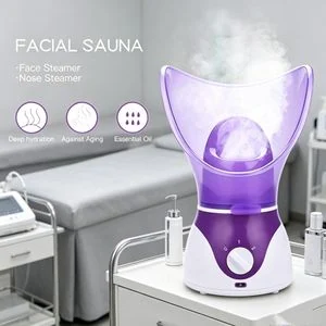 Facial Steamer Spa Thermal Sprayer Facial