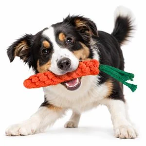 Carrot Dog Rope Chew Toy, Teething & Interactive Toy for Small Medium Dogs