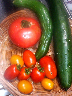 Fresh Vegetable Box
